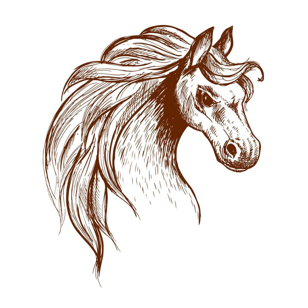 Wild feral horse in aggressive posture sketch vector