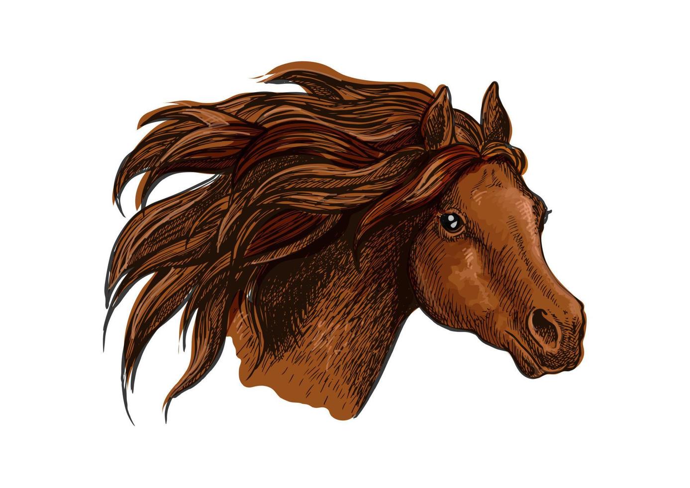 Running horse head close up portrait vector