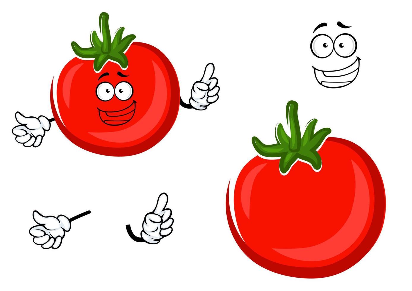 Red ripe tomato vegetable character vector