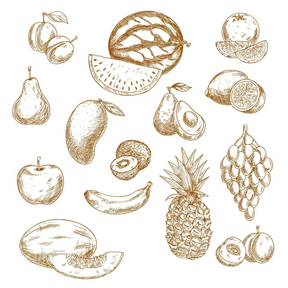 iconos de boceto vintage de frutas frescas enteras y cortadas a la mitad vector