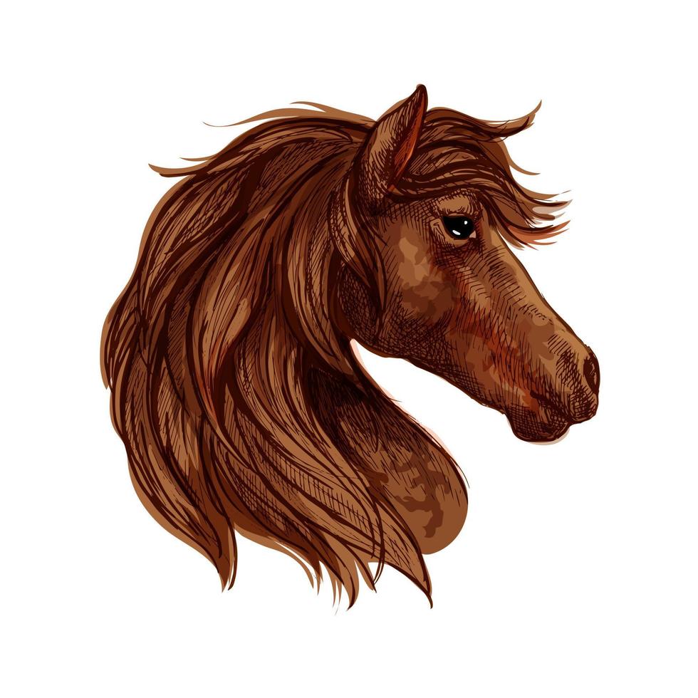 Brown horse head sketch with arabian racehorse vector