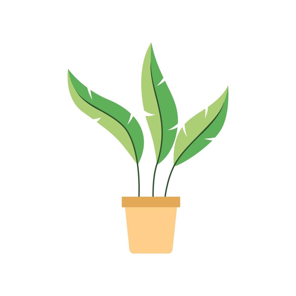 Green Plants in Pots on a white background Flat Design Vector Illustration. Nature flat design.