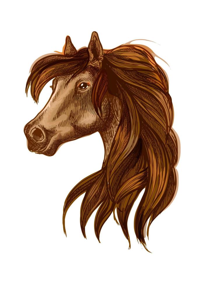 cabeza de caballo con melena larga y ondulada vector