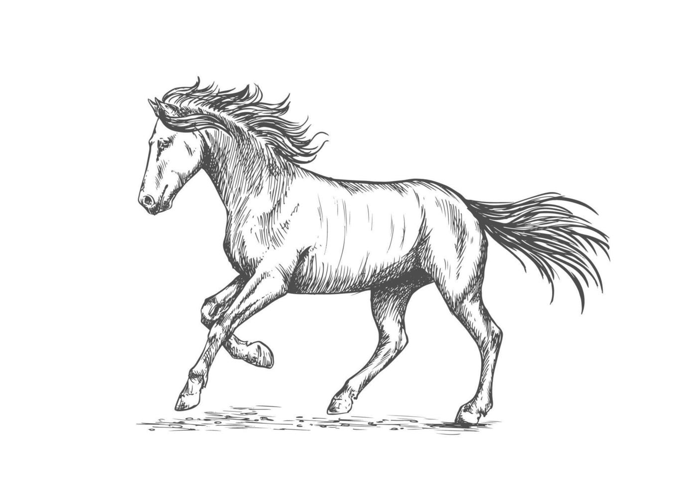 Prancing horse with stmping hoof portrait vector