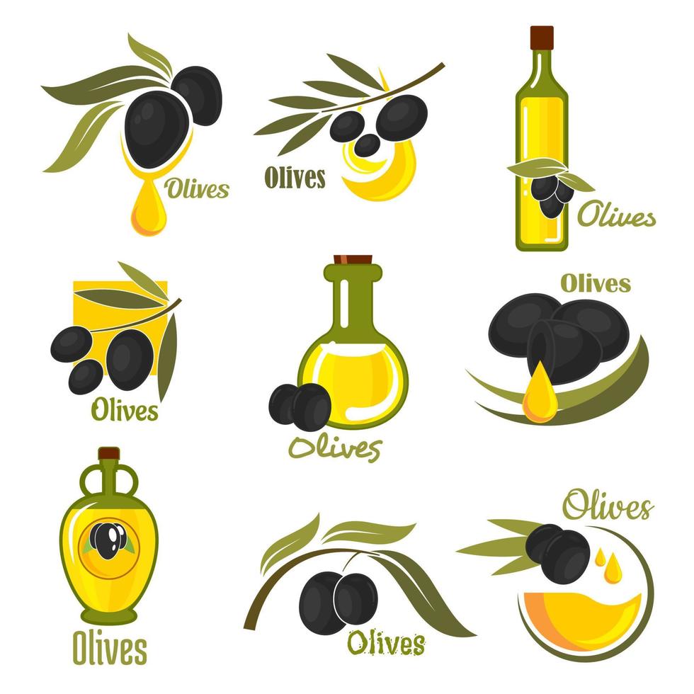 Olive fruits with leaves and oil bottles vector