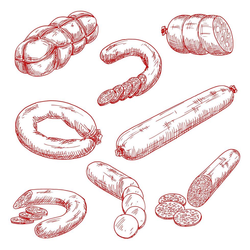 Assortment of fresh meat sausages red sketch icons vector