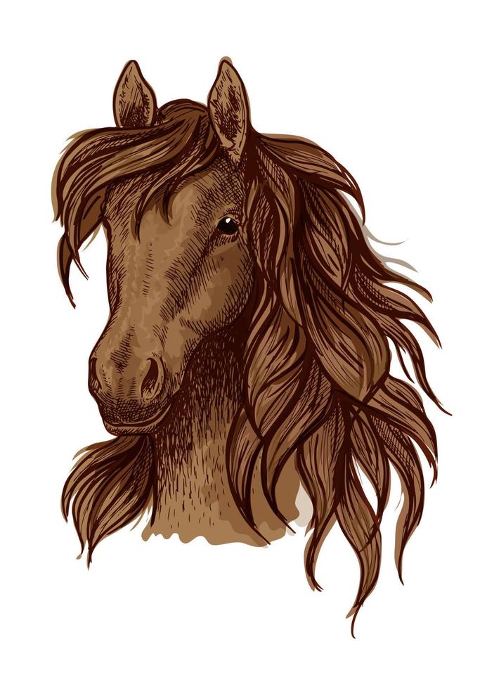 Brown running mustang portrait vector