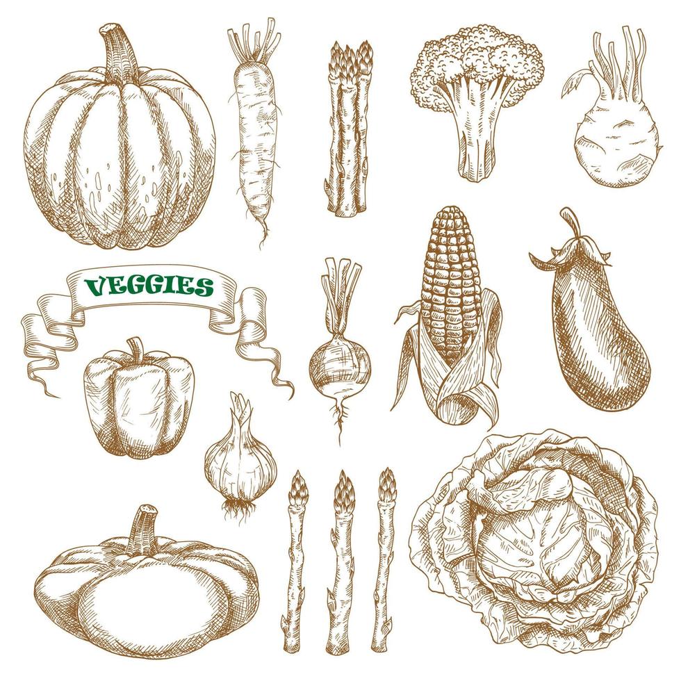 conjunto de bocetos de verduras de jardín y granja vector