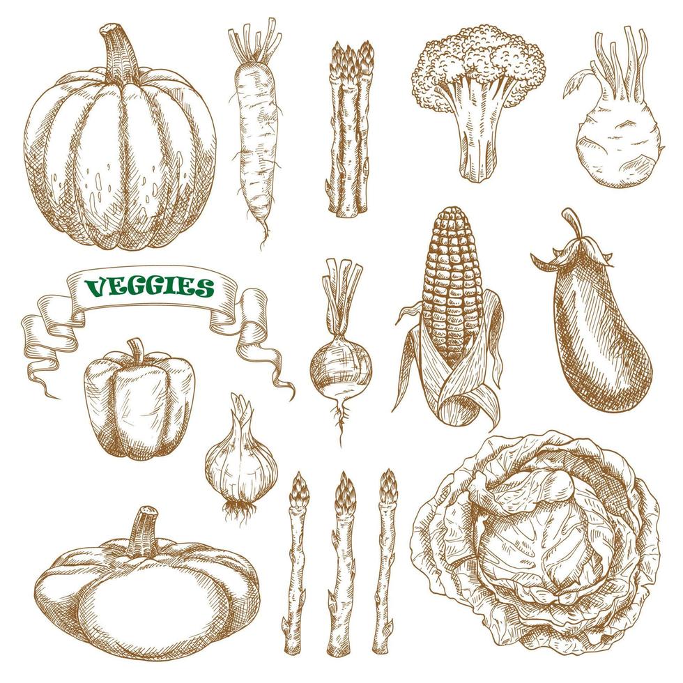 Garden and farm vegetables sketches set vector