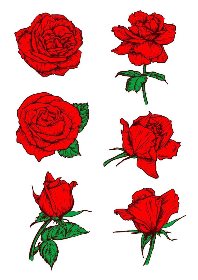 Red roses buds icons. Flower sketch emblem vector