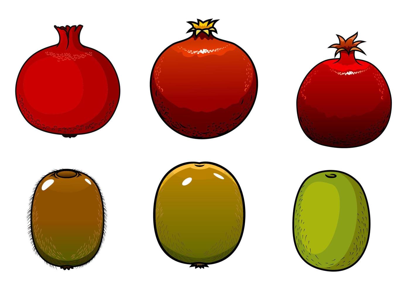 Green kiwi and pomegranates fruits vector