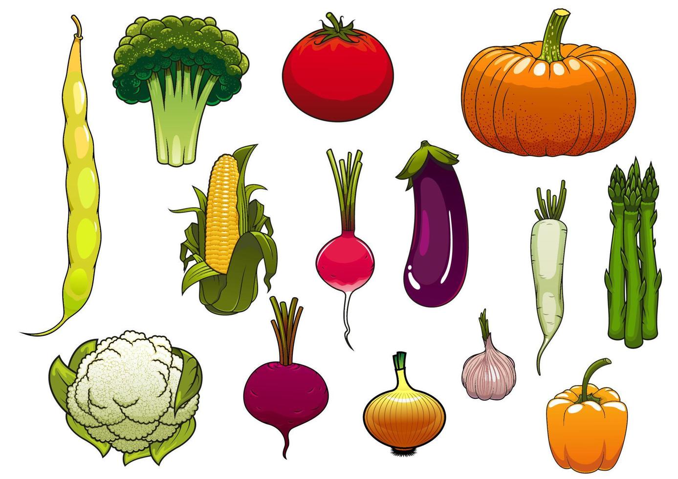 verduras frescas de la cosecha de otoño vector