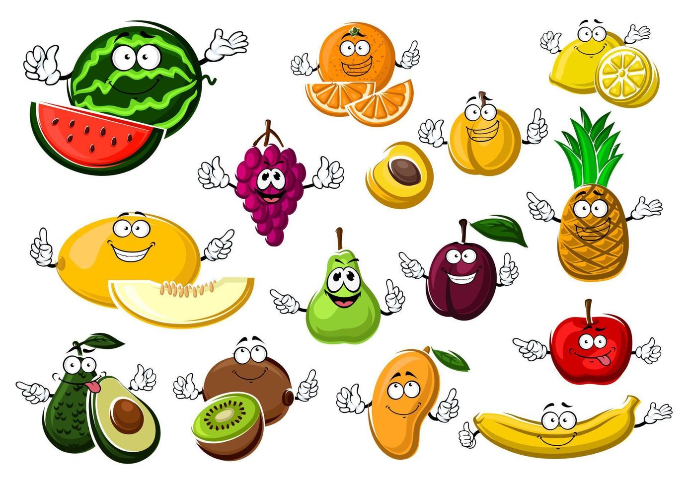 Appetizing ripe tropical and garden fruits vector