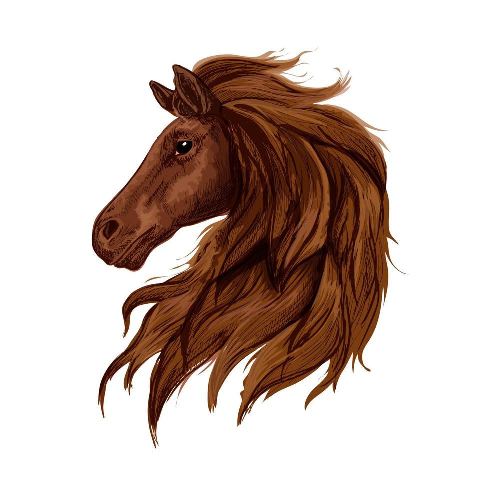 Sketch of brown horse head with arabian stallion vector