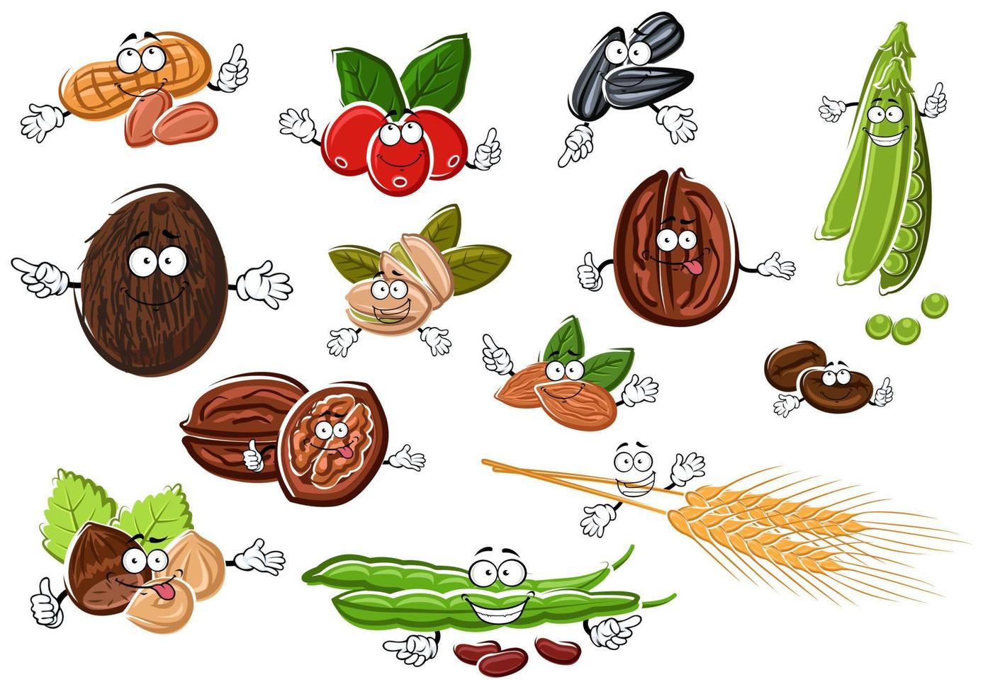 nueces de dibujos animados, frijoles, semillas y trigo vector