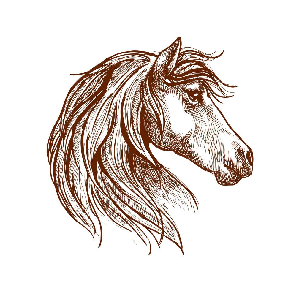 boceto de cabeza de caballo marrón salvaje vector
