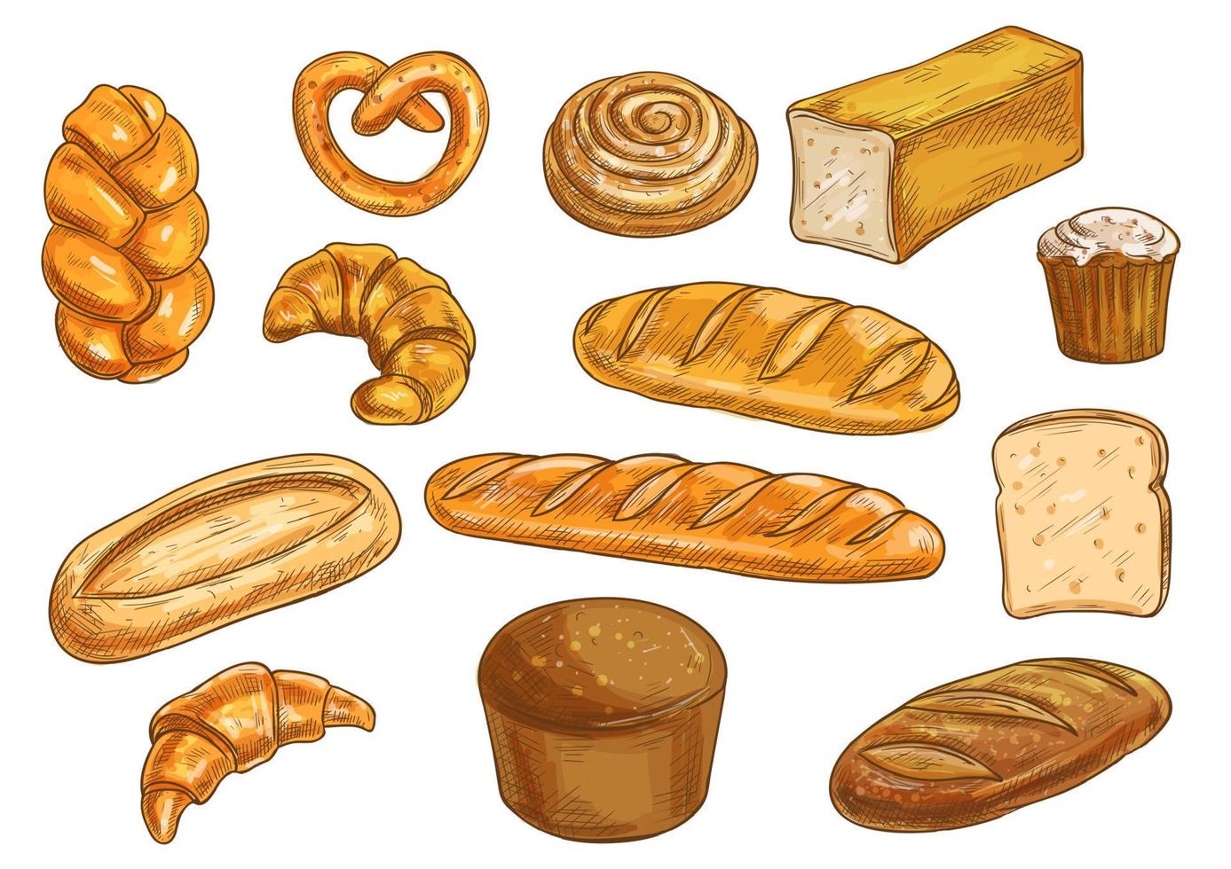 Tipos de pan y objetos esbozados de panadería. vector