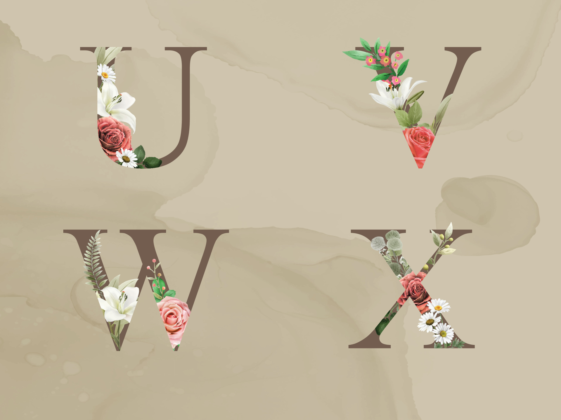 beautiful floral alphabet with red and white flowers and greenery