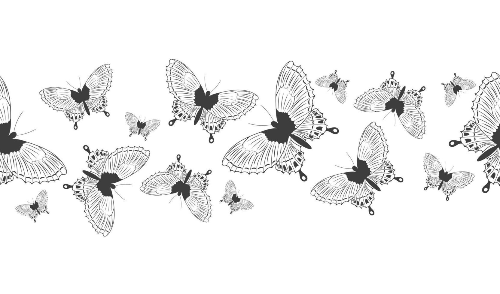 banner de borde transparente con silueta negra abstracta de lindas mariposas voladoras aisladas en fondo blanco para cinta decorativa vector