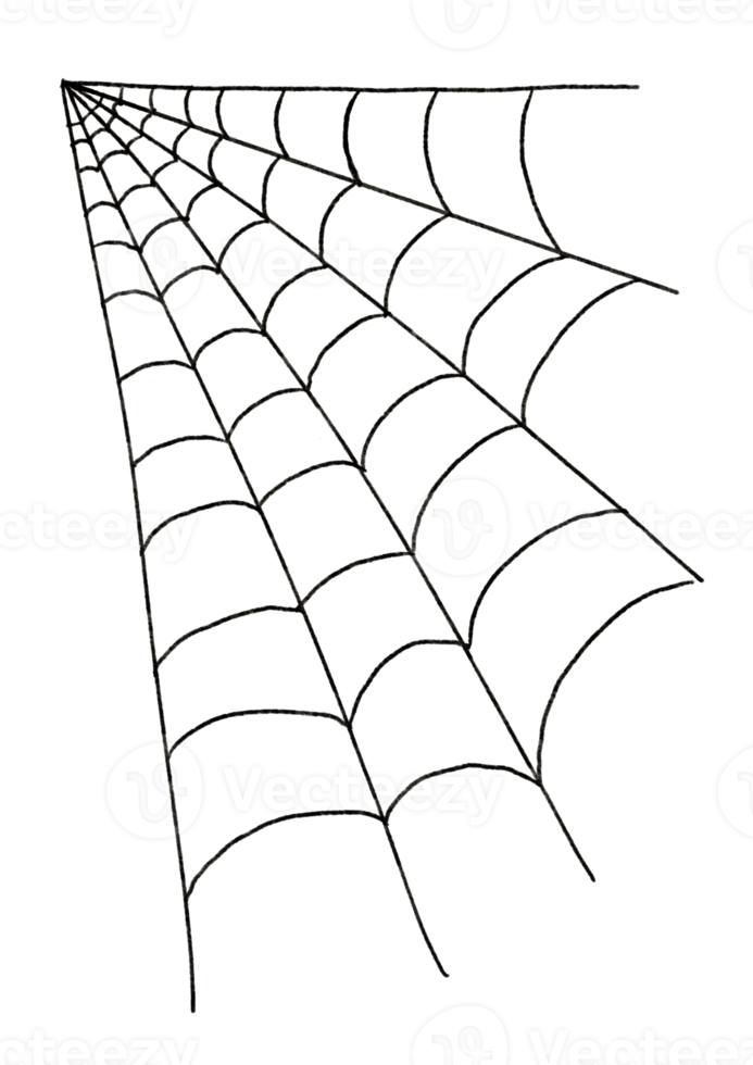 watercolor illustration of a spider web png