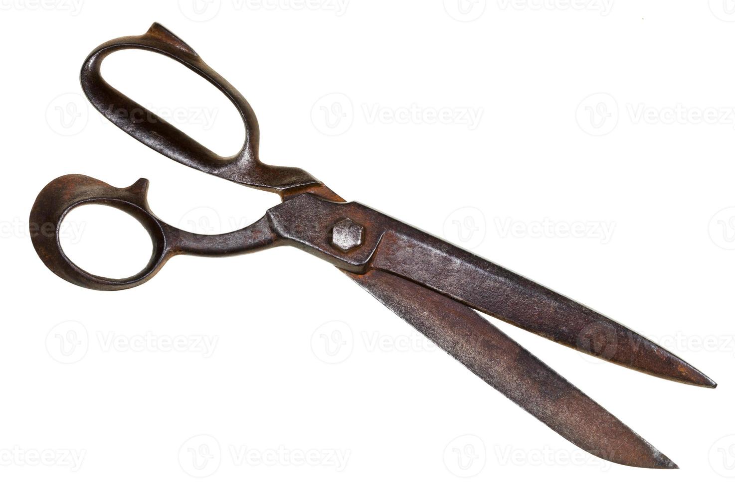 big tailor shears photo