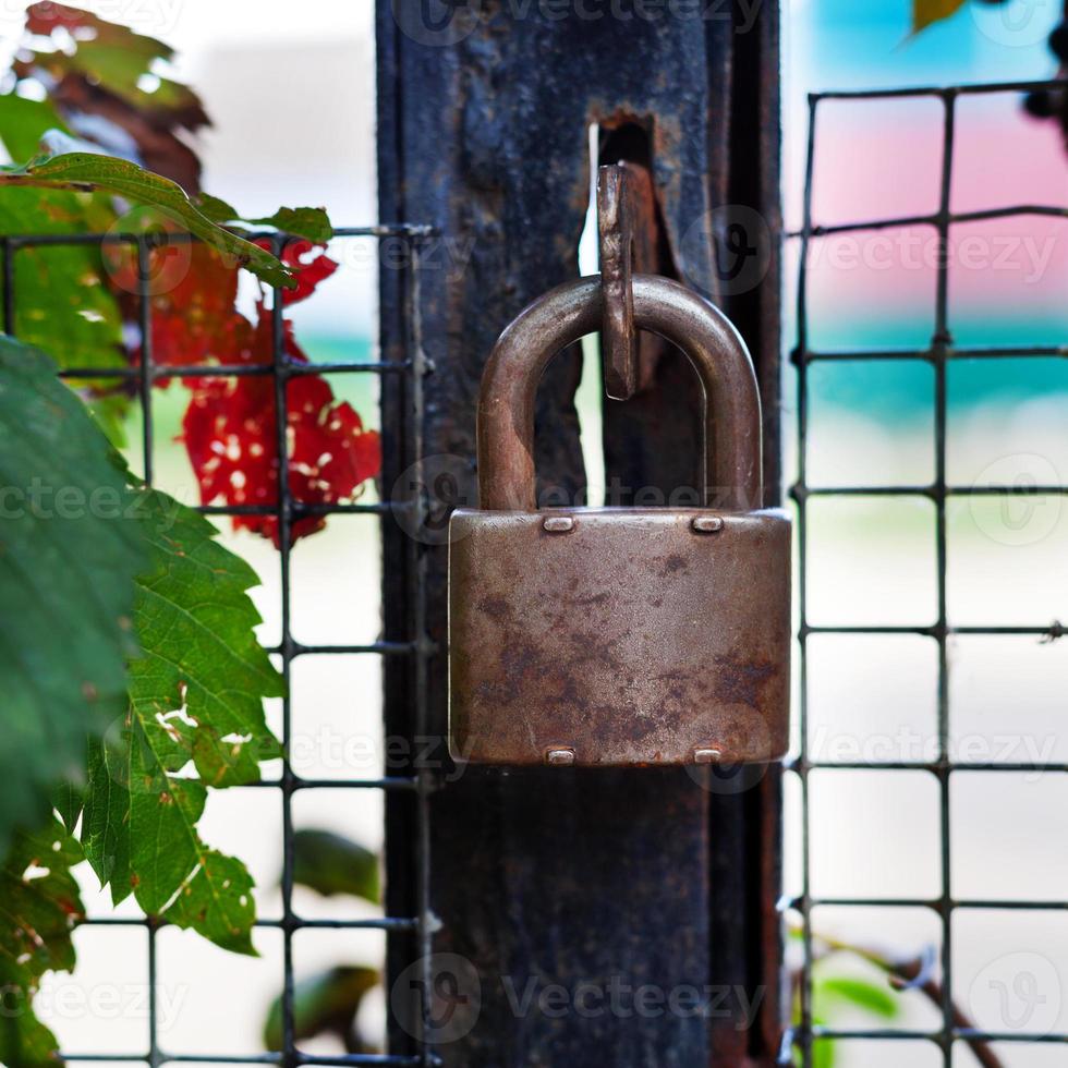 locked padlock on gate photo