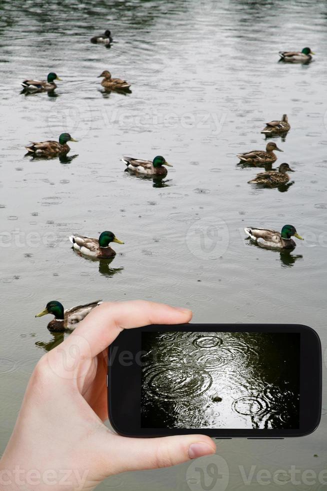 tourist taking photo of circle in puddle from rain