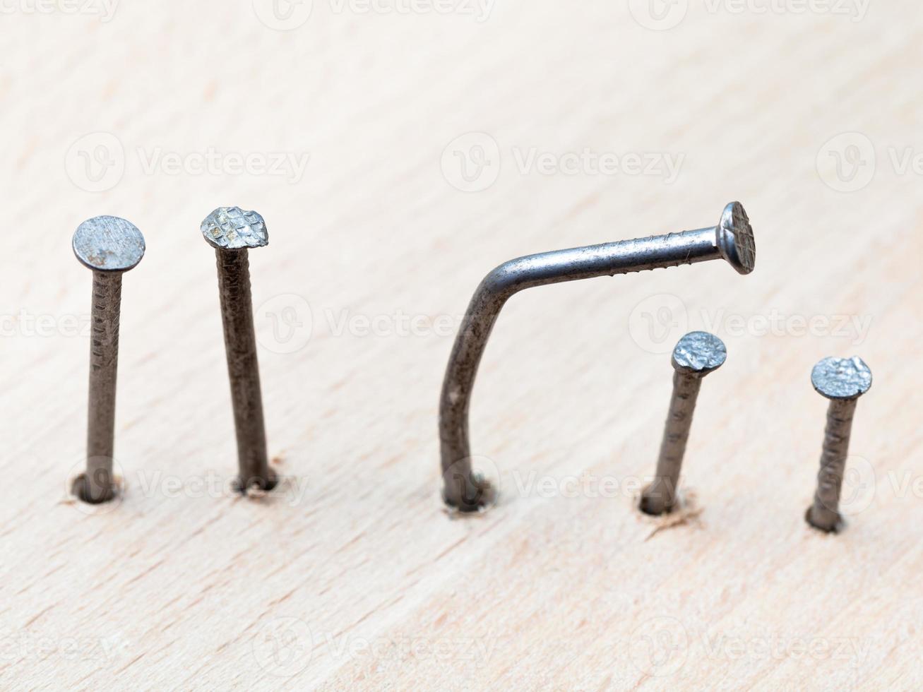 line of nails photo