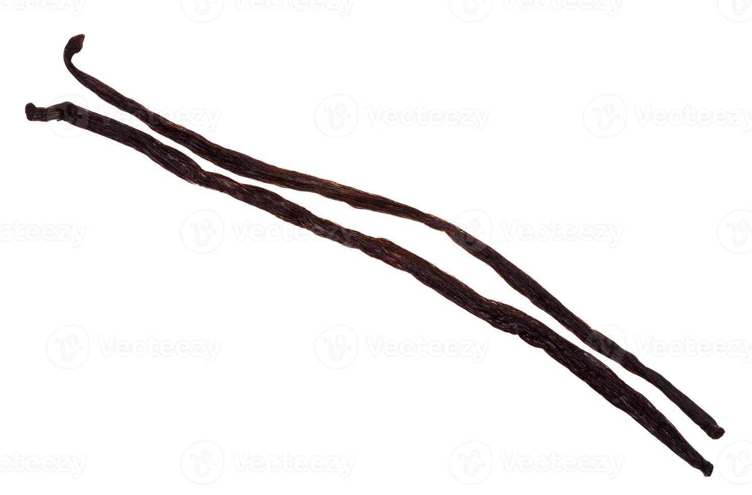 vanilla pods isolated photo
