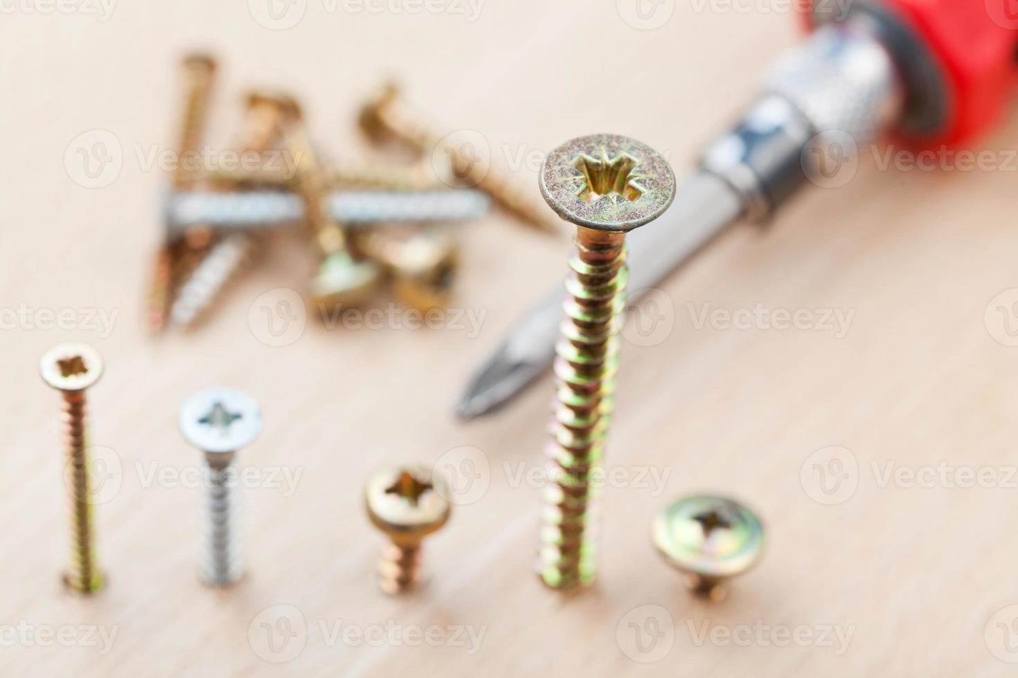 screwdriver and screws wrapped in wooden plank photo