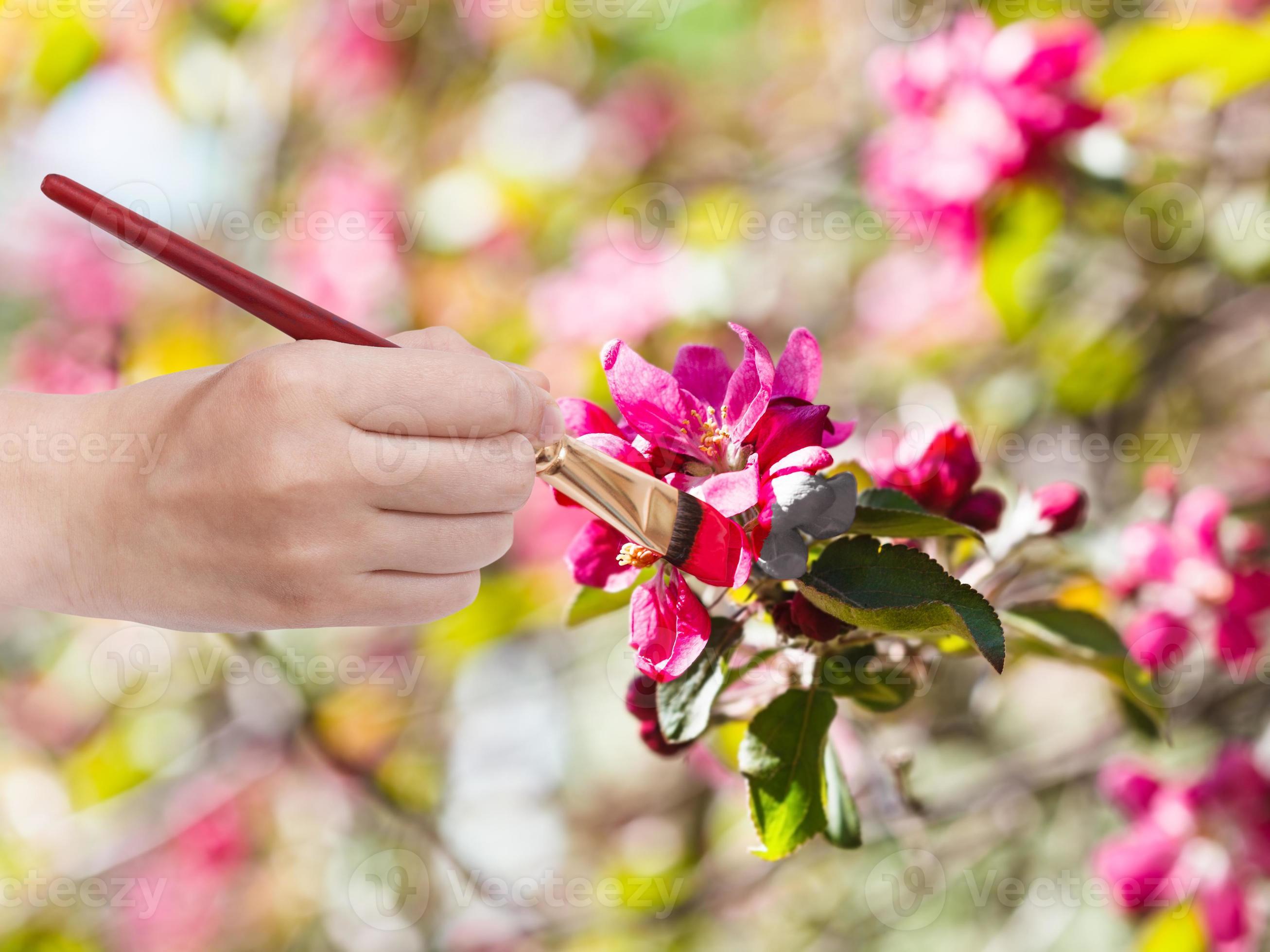 paintbrush paints red flowers on apple tree 11682176 Stock Photo at