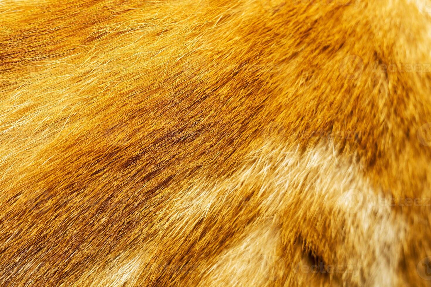Red Cat Fur Texture 11682527 Stock Photo at Vecteezy