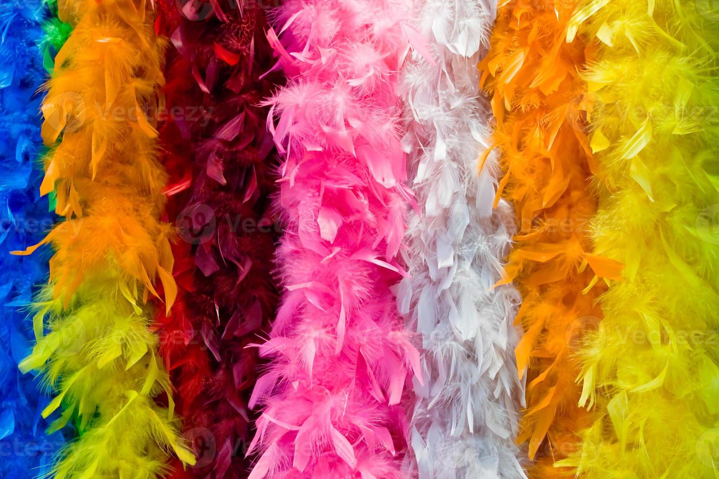 varicolored boa close up photo
