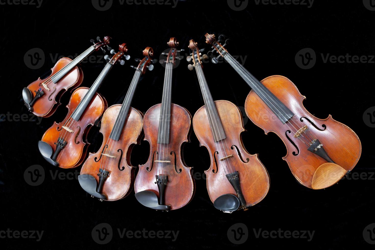 family of different sized violins on black photo