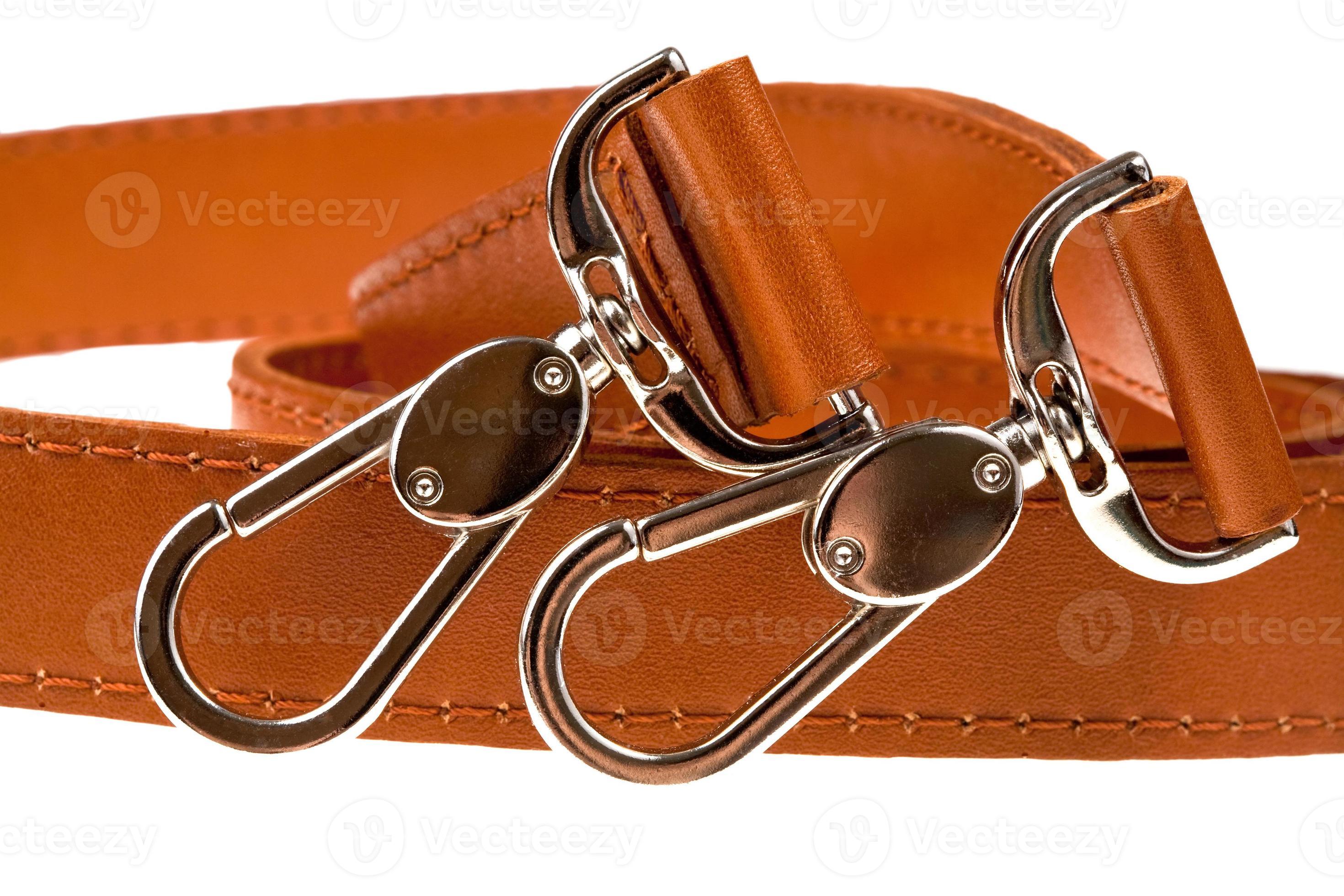 pair of belt clasps close up 11682741 Stock Photo at Vecteezy