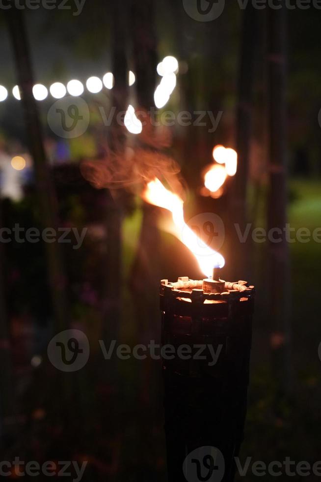 cierra la antorcha y el fuego en el jardín nocturno. foto