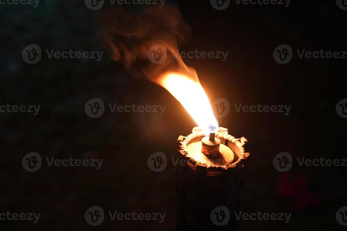 close up torch and fire in the night garden. photo