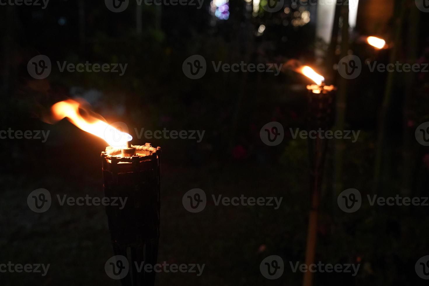 close up torch and fire in the night garden. photo