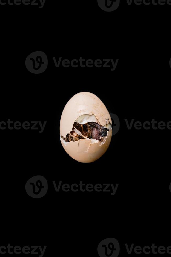 Isolated the little chick is hatching from inside the egg, black background., Clipping Paths. photo