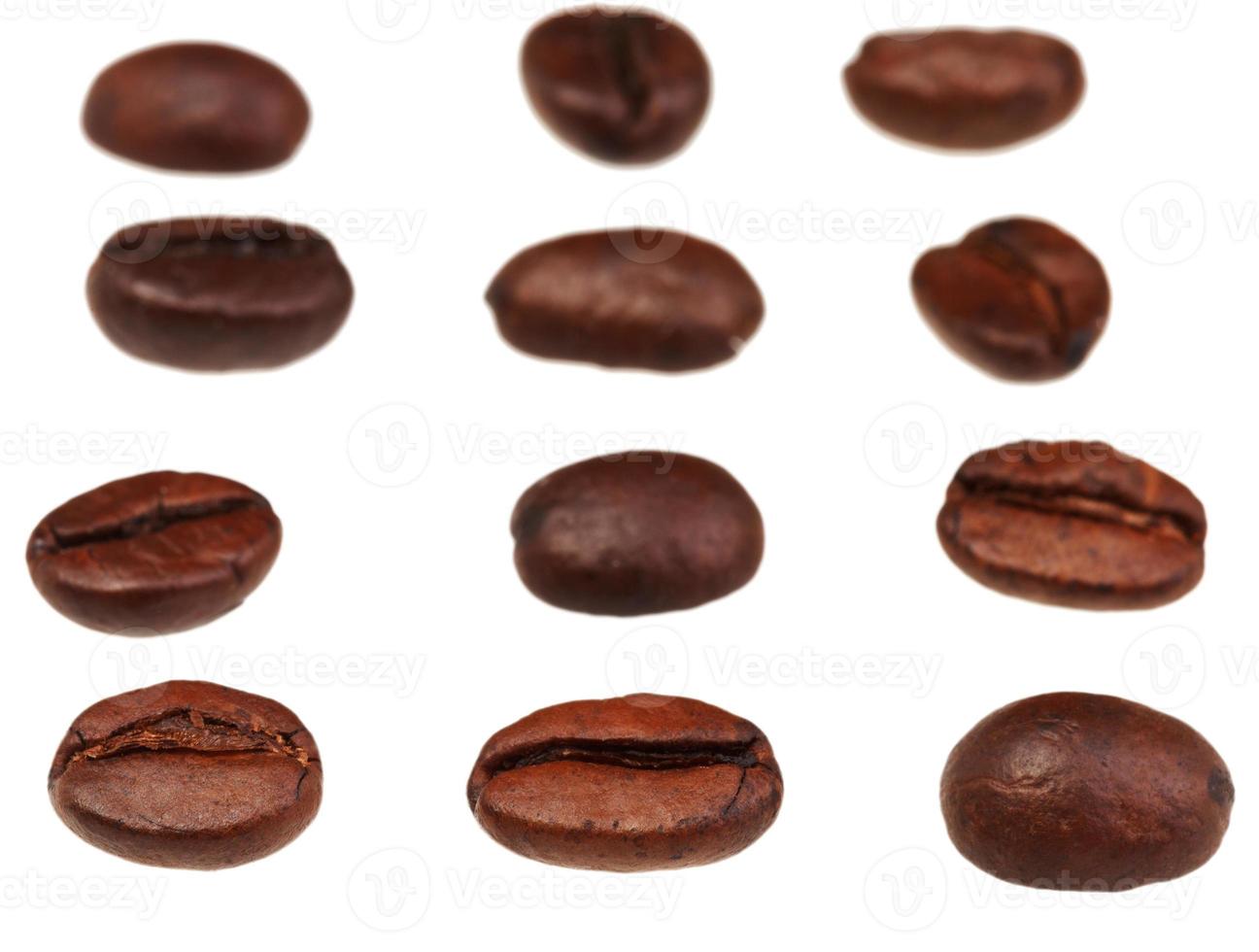 rows and lines from roasted coffee beans photo