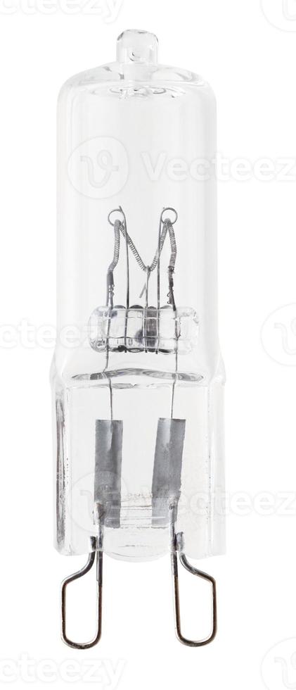 small halogen light bulb photo