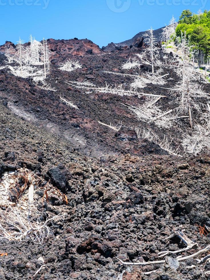 view of hardened lava flow on slope of Etna photo