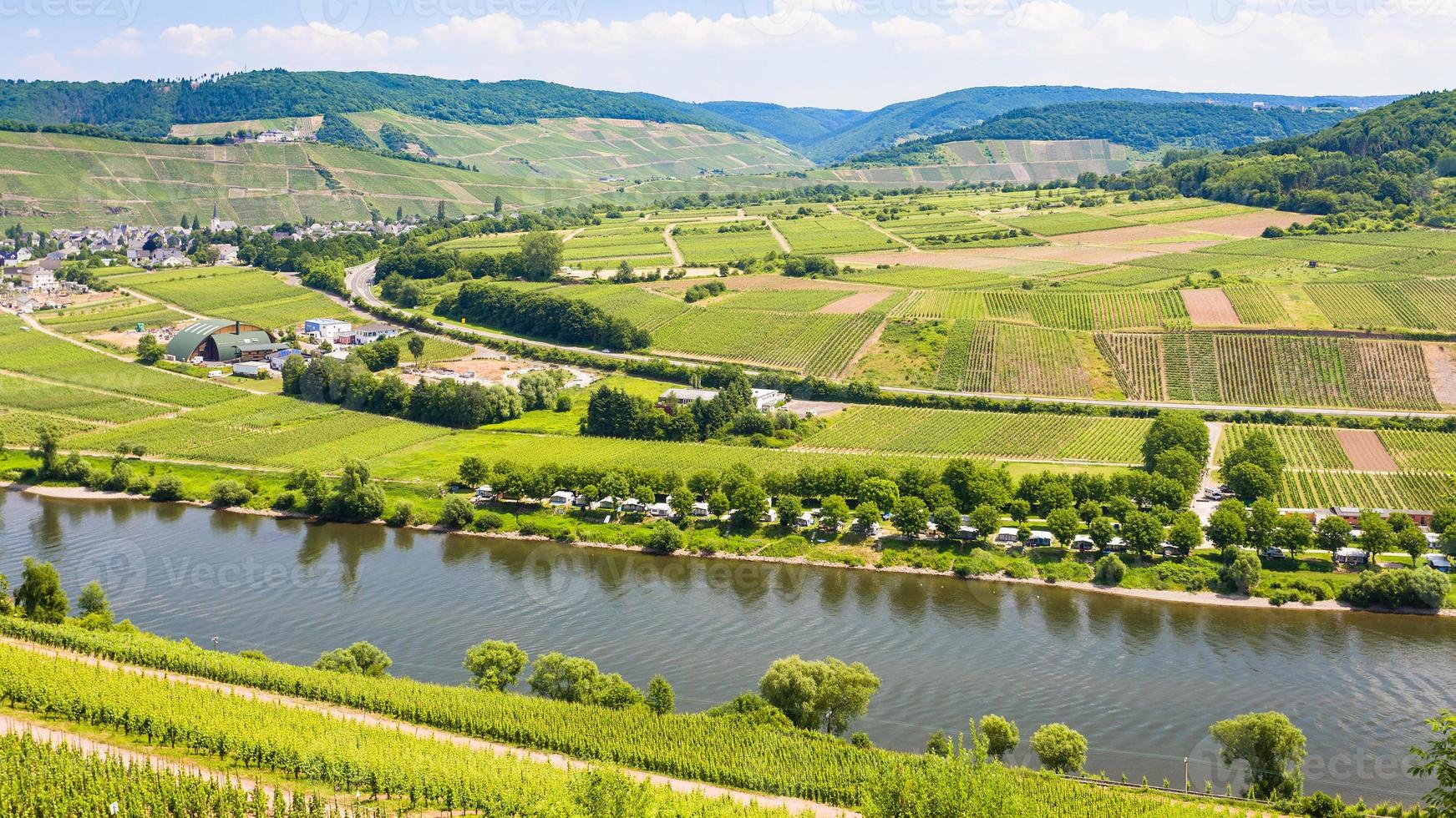 vineyards and fields in valley of Mosel river photo