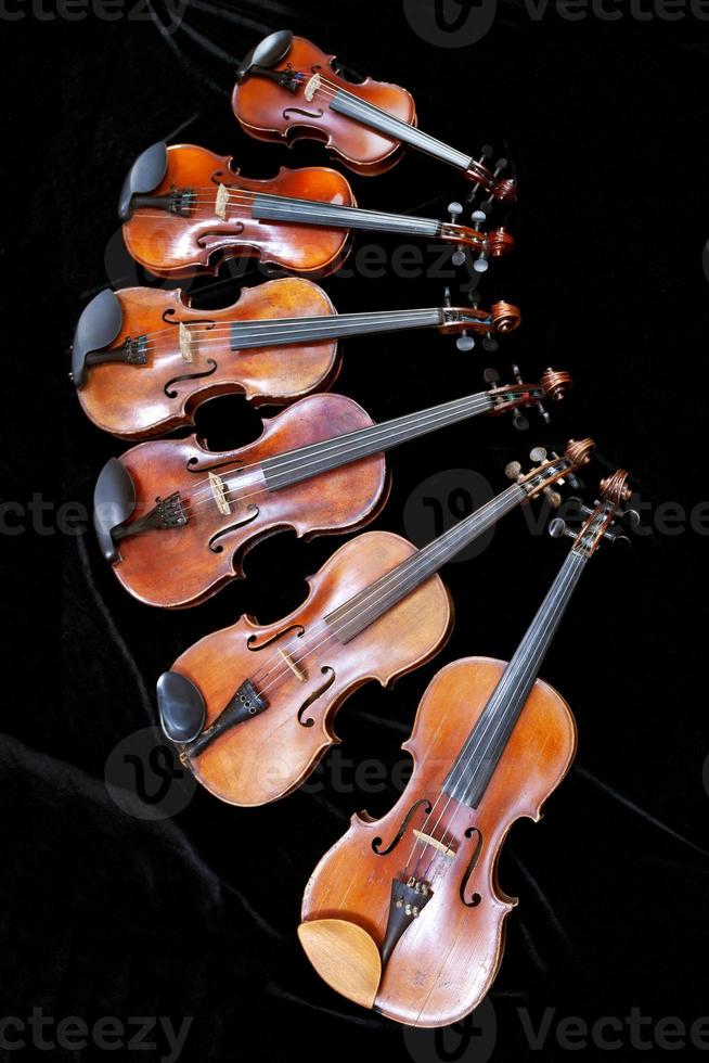 familia de violines de diferentes tamaños en negro foto