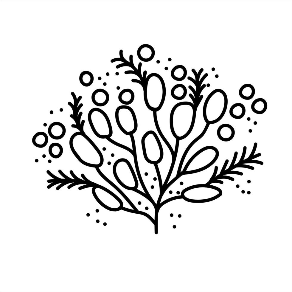 Abstract Christmas branch isolated on white vector illustration. Festive plants for greeting designs. Doodle style card element.