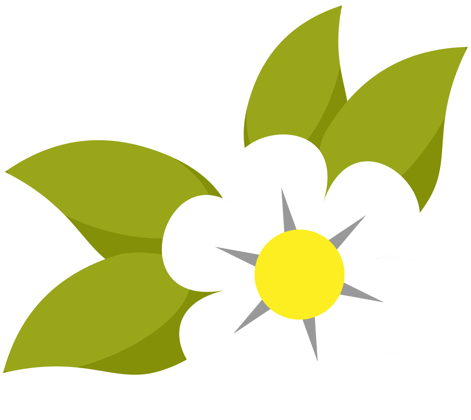 Unbelievable Latin Flower Spa Experience: Read This First! - 36y0vog