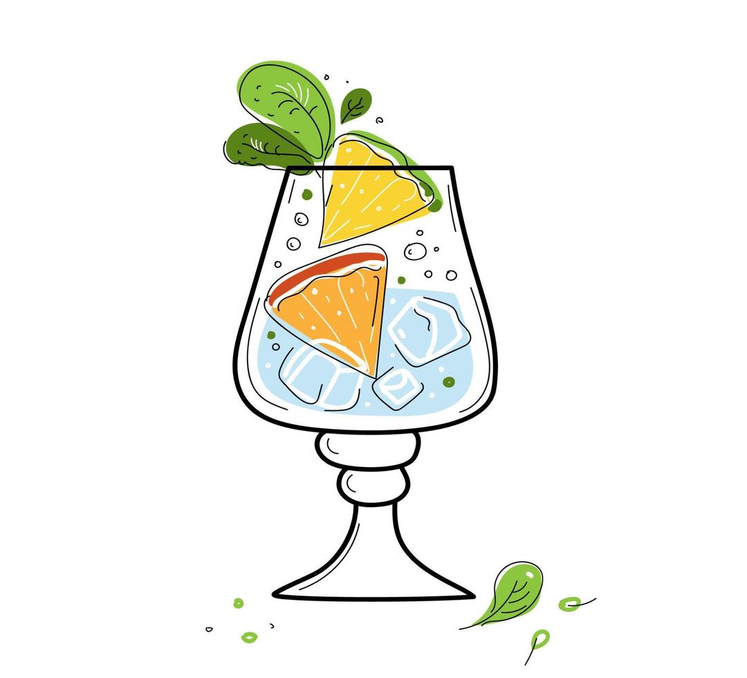 Hard seltzer cocktail with orange, berries and mint in glasses. vector doodle sketch set illustration