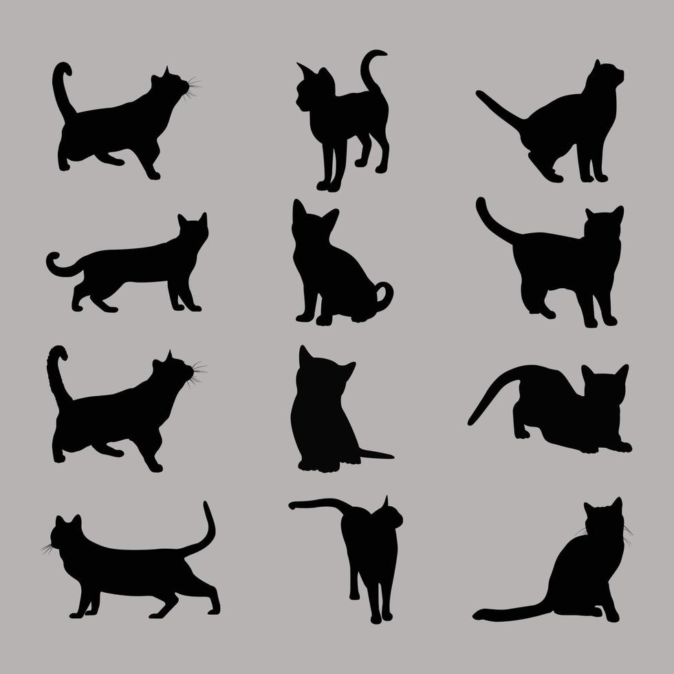 conjunto de gatos vectoriales. mascota animal, gato montés y gatito, cazador y depredador, silueta negra vector