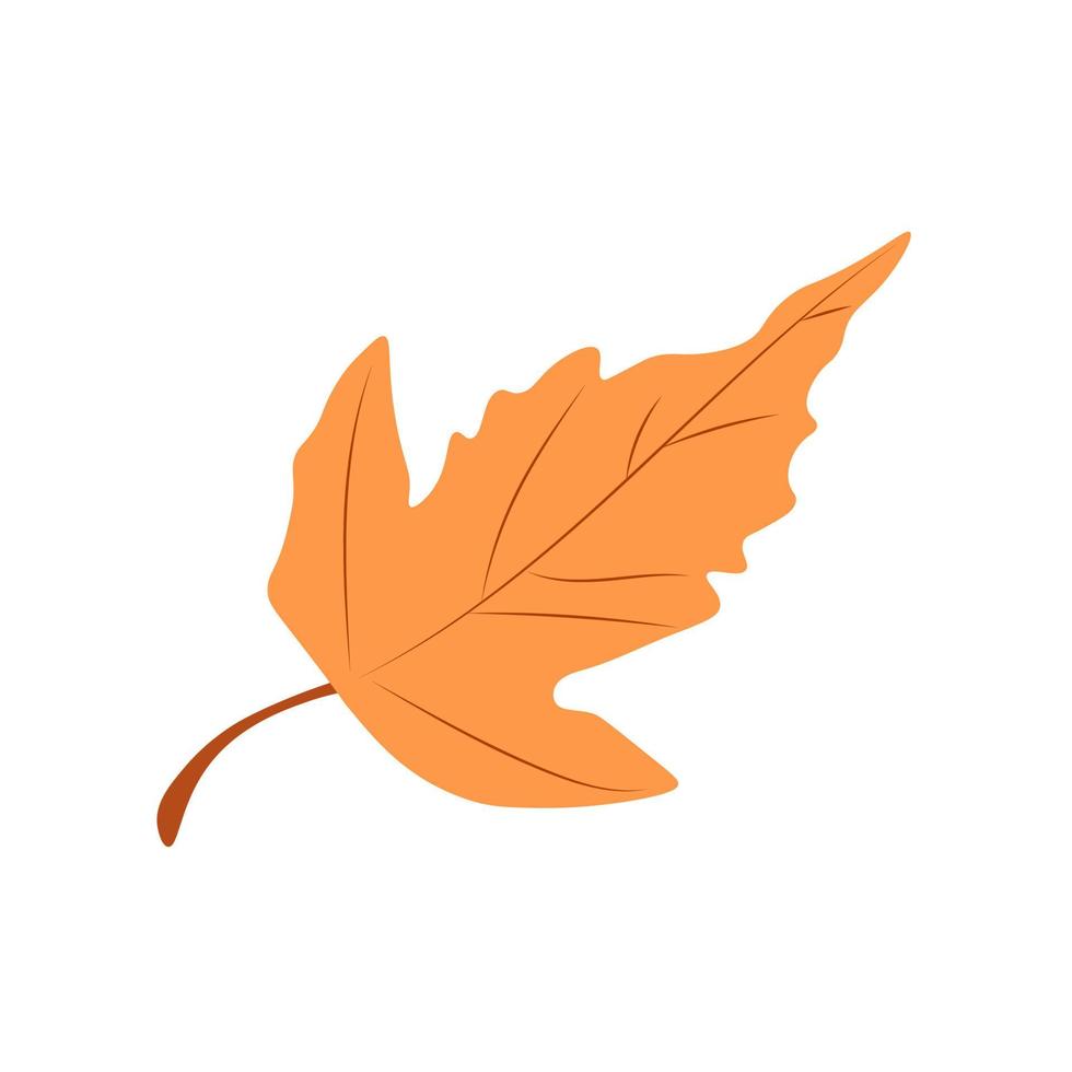 ilustración vectorial de hojas de otoño. hojas de otoño. vista superior de la hoja del árbol de otoño. vector plano