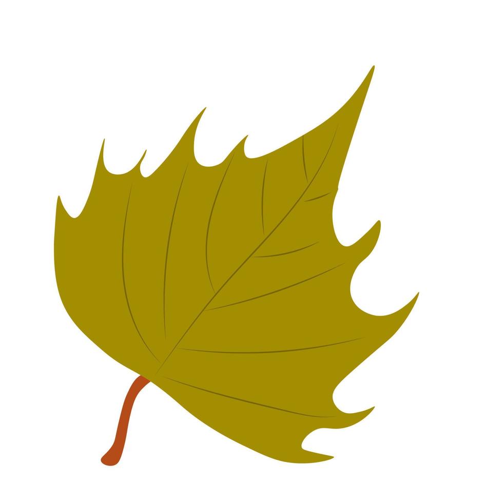 Autumn Leaves Vector Illustration. Autumn leaves. Top view of fall tree leaf. Flat vector